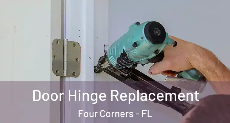 Door Hinge Replacement Four Corners - FL