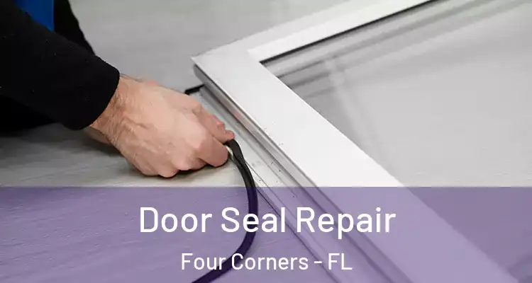 Door Seal Repair Four Corners - FL