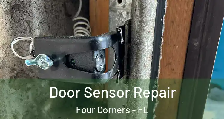 Door Sensor Repair Four Corners - FL