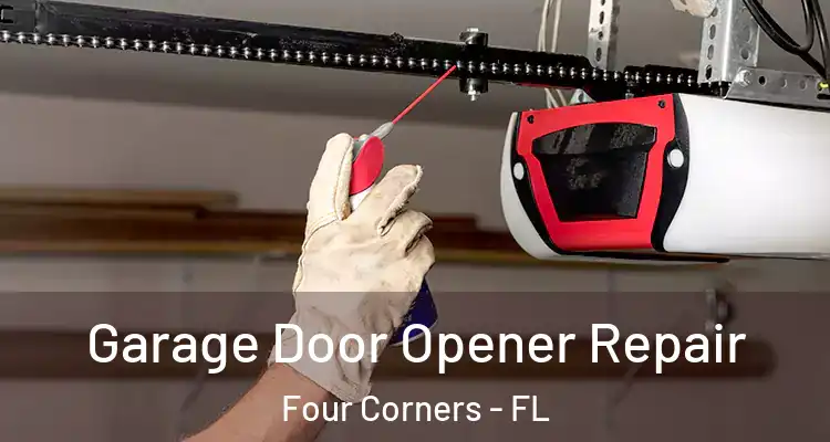 Garage Door Opener Repair Four Corners - FL