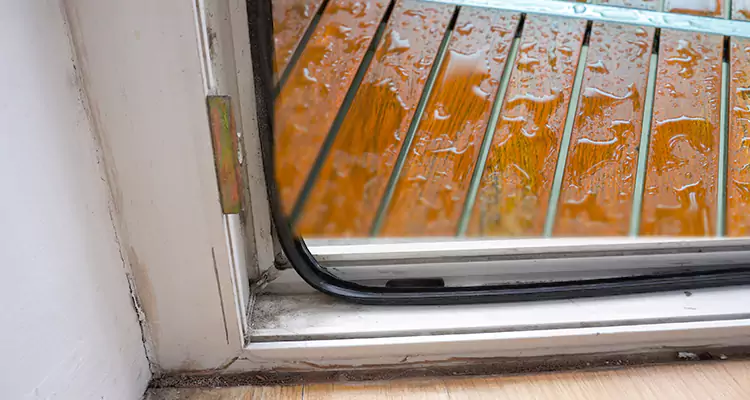 Water Leaking Wooden Patio Doors Repair in Four Corners, FL