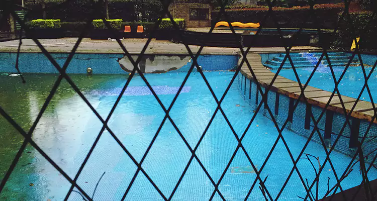 Lanai Screen Repair in Four Corners, FL