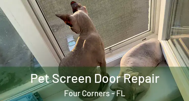 Pet Screen Door Repair Four Corners - FL