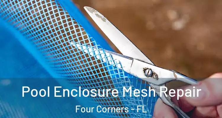 Pool Enclosure Mesh Repair Four Corners - FL